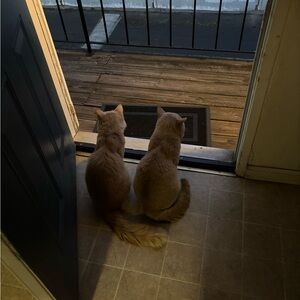 Meet your Posher, Aaron